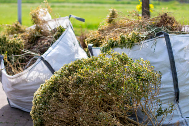 Best Electronics Removal Services  in Basehor, KS